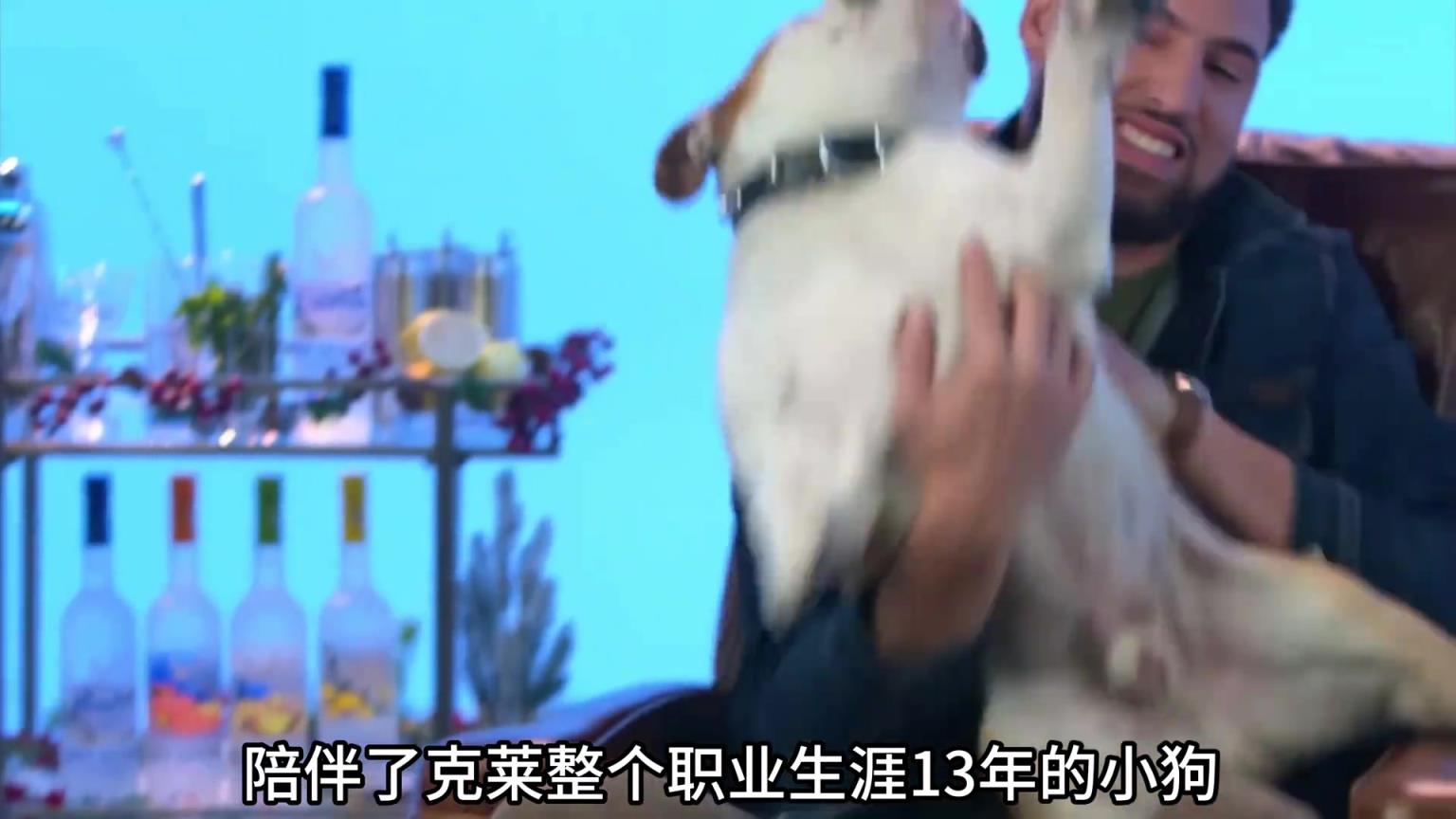 陪伴克萊13年的小狗去世了，不敢相信克萊得多么傷心